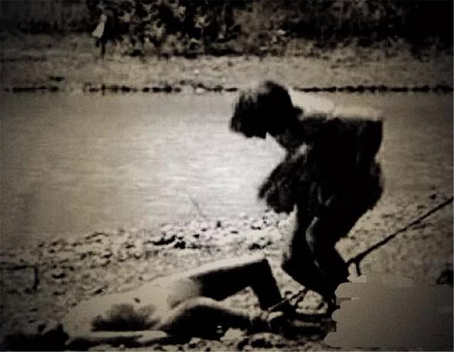 印加无毛犬形态特征及生活习性:姜喜阳还是喜阴，种植时还需要注意什么？ 秘鲁印加无毛犬抗癌吗
