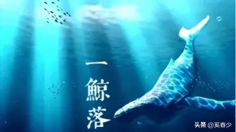 白鲸的资料和爱好:为什么卡卡西能使出冰遁一角白鲸，这不应该是血继限界的忍术吗？