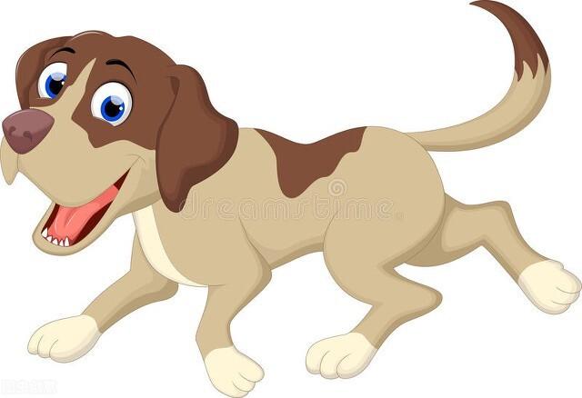 婚姻一生坎坷的生肖女有哪些？