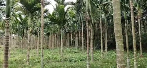 大家听过或经历过最感人的动物报恩的故事是什么？插图54