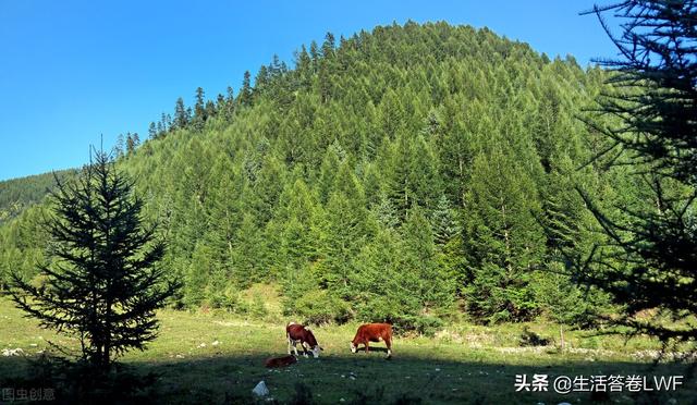 让人忍不住摘抄的句子有哪些？