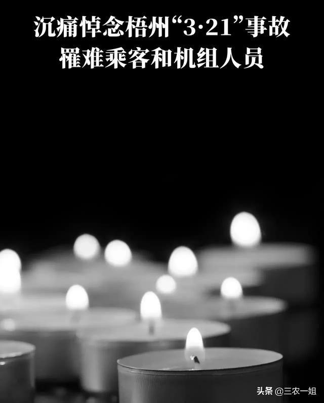东航事故找到的遗体残骸会进行火化吗？
