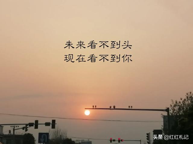 有哪些你第一眼就钟情的佳句