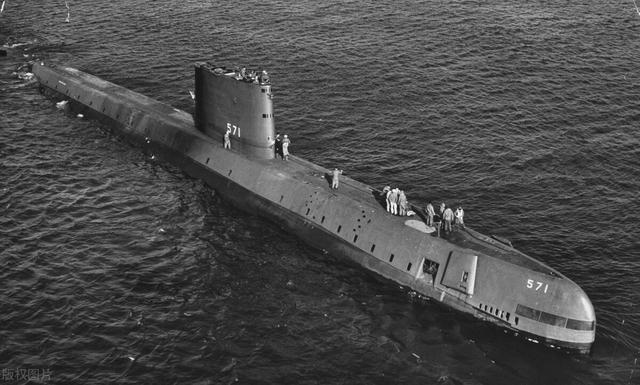 鹦鹉螺 濒危(濒危物种"鹦鹉螺",为何被称为开启核潜艇的钥匙?