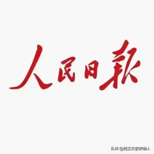 农村老人的养老困境怎么办？