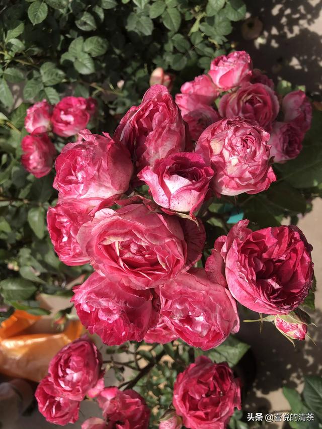 截止到现在，最让你尴尬的经历是什么？插图11