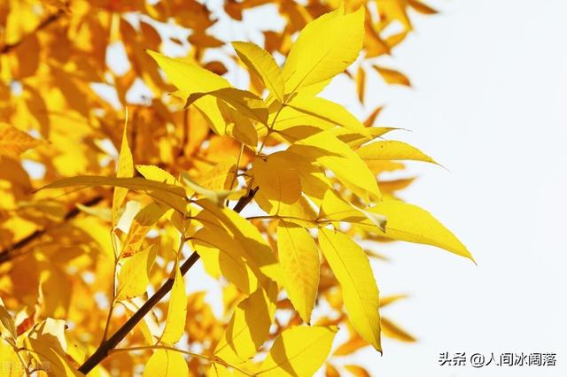 银川必去的五大景点有哪些？插图25