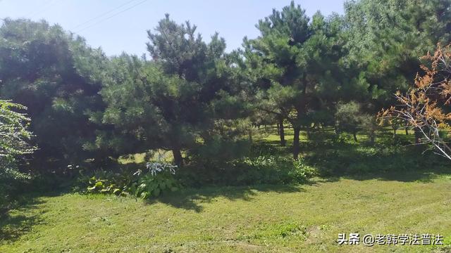 江海互动:你们坚持今日头条是因为兴趣还是收入？