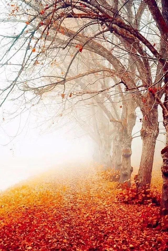 为什么古人诗词里的秋天都是萧瑟清冷凄凉忧愁的