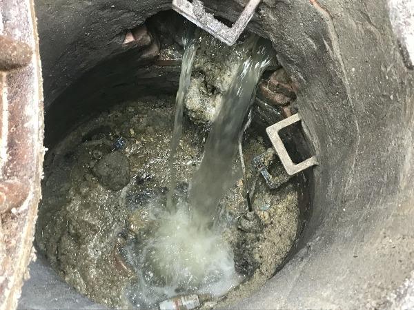 巨型淡水鱼:都说鲶鱼生命力强大，那么下水道里面会有二十斤以上的巨鲶生存吗