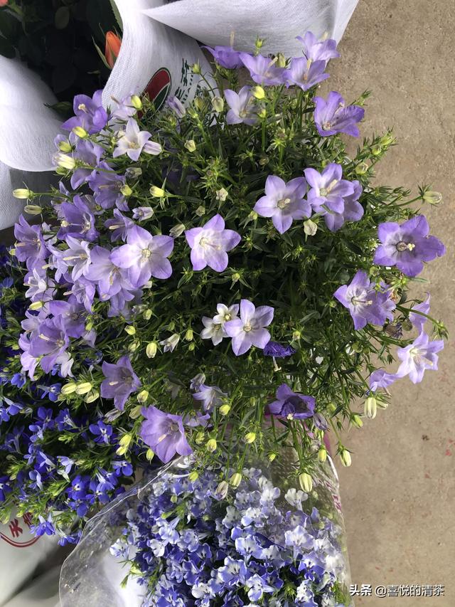 截止到现在，最让你尴尬的经历是什么？插图10