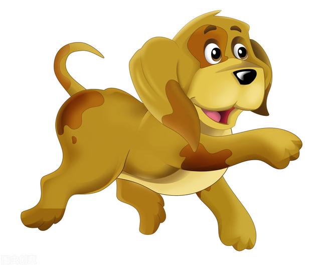 2022年运势最好的生肖要翻身猪,最有潜力的生肖是哪一个？