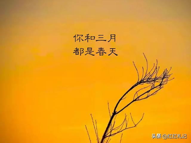 有哪些简而不素的句子让你一笑而过？