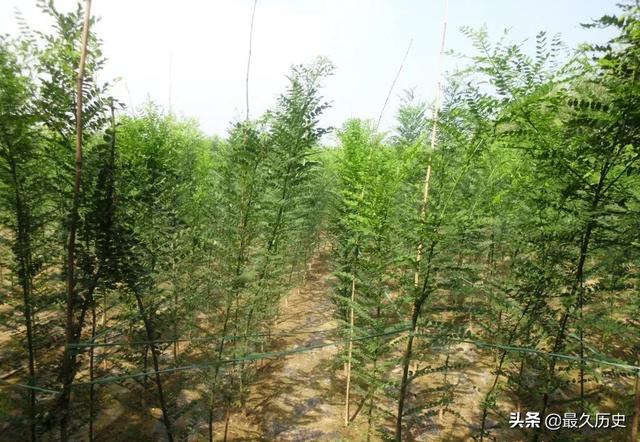 未来利润最高的不起眼暴利行业是什么？