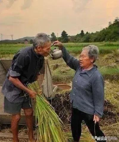 很多农村的老人每个月有失地补偿金比种田收入高他们幸福吗
