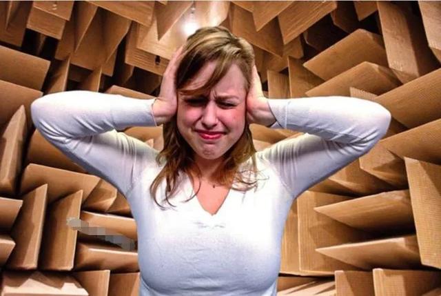 为什么有人说很少有人能在绝对静音无声的密室里撑过1小时？插图2