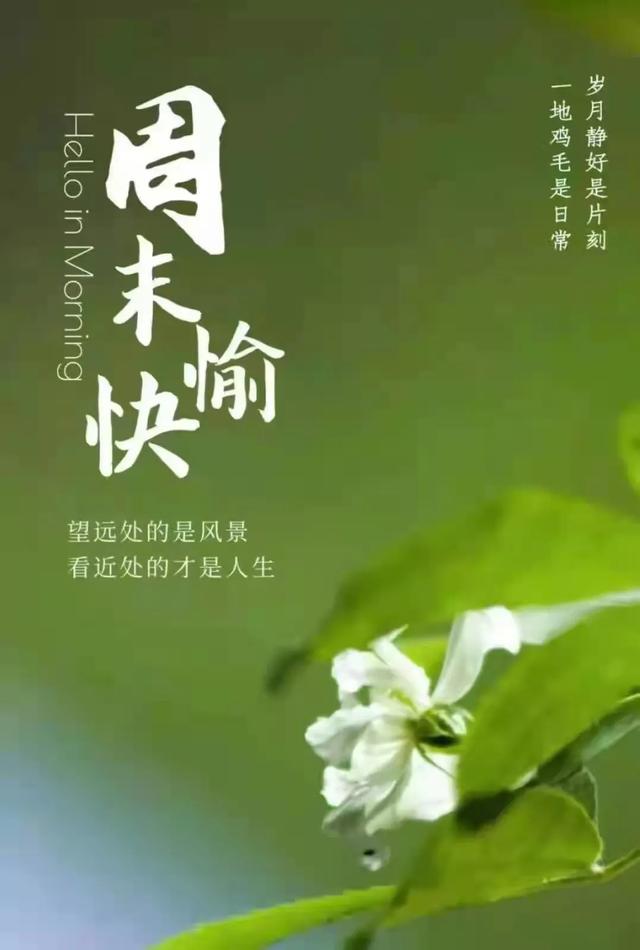 人到中年的你们想告诉二十几岁的我们哪些人生道理？