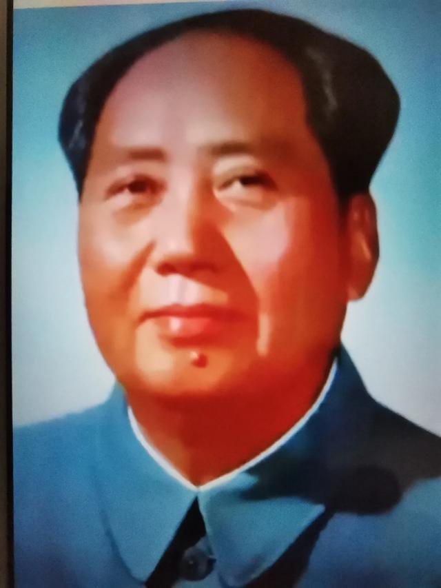 最贵的狗:灰色的泰迪狗为什么卖的最贵呢？