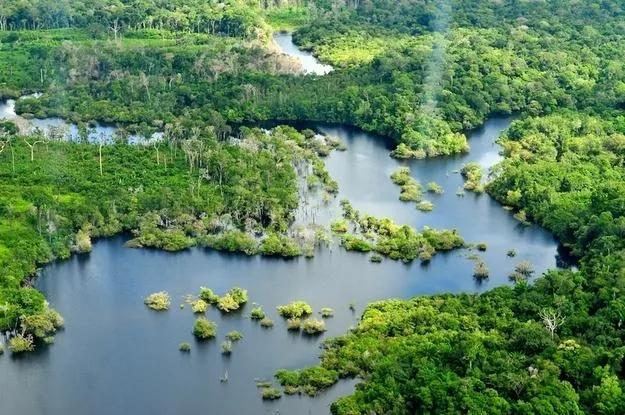 亚马逊河历险记1手机在线，亚马逊沼泽之王：森蚺，既然它没天敌，那么带把刀能自救吗