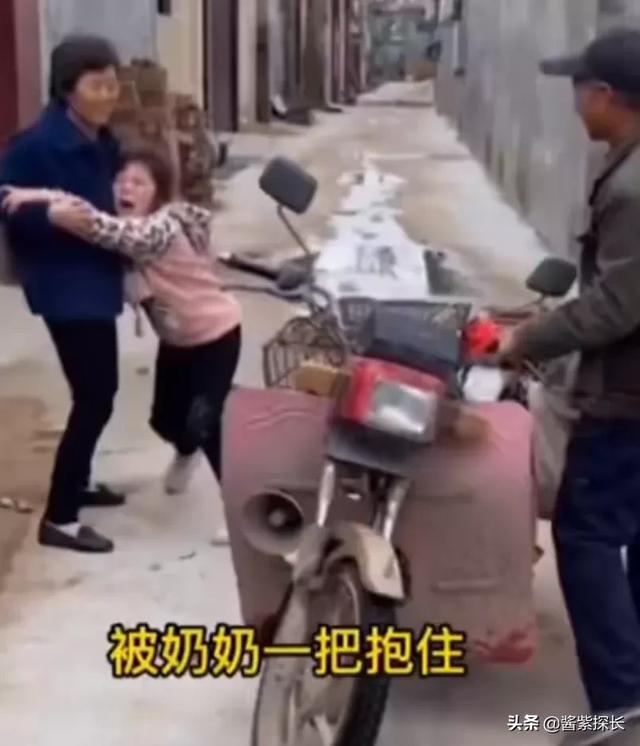 京巴狗图片.:京巴狗图片照片 京巴犬特别黏人是什么原因？该怎么解决？