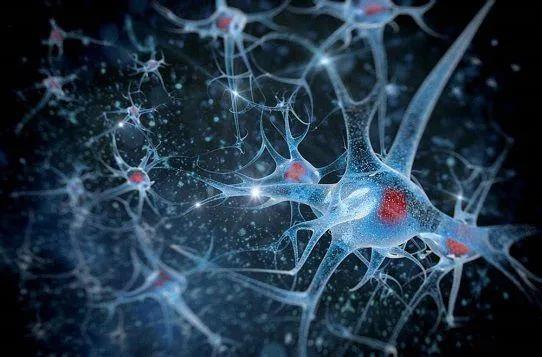 世界上十大必死病:你觉得最令人痛苦生不如死的疾病是什么？为什么？