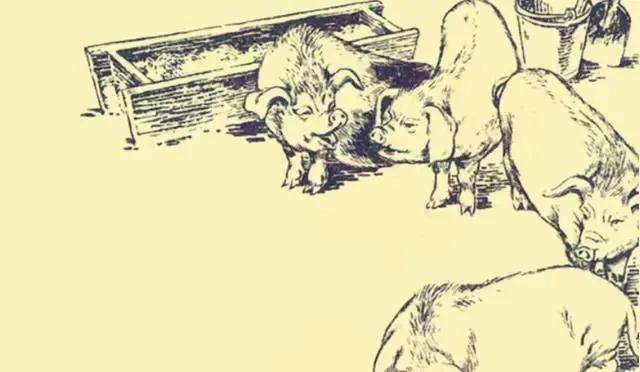 大家听过或经历过最感人的动物报恩的故事是什么？插图40