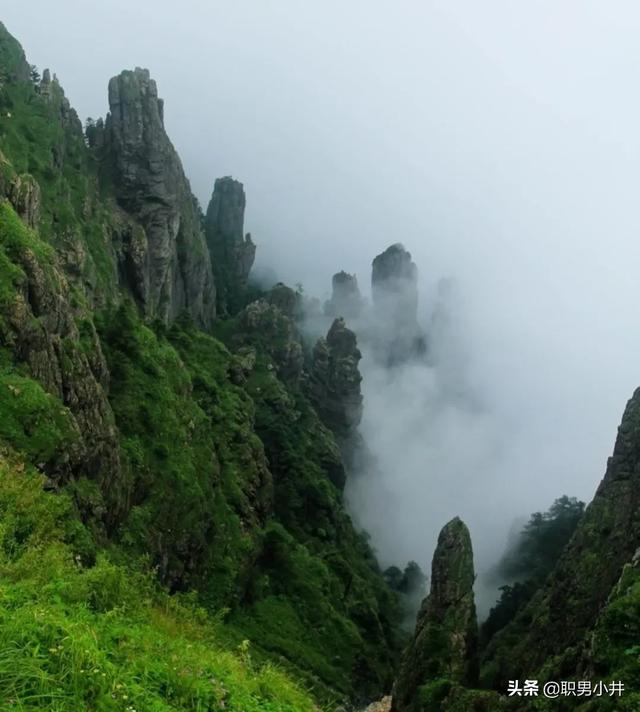 湘西奇闻异事小说，为什么农村的老人说：没有虫鸣的深山，不要只身前往