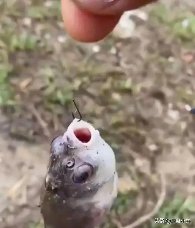 小时候听过哪些渗人可怕的故事吗？