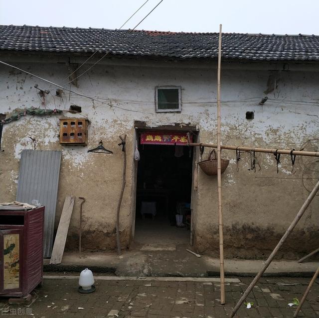 大家听过或经历过最感人的动物报恩的故事是什么？插图46