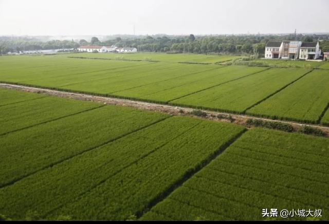 奇迹物语女主角的家:奇迹物语电影完整版 现在的社会，农村人和城市人，哪个更感觉幸福？