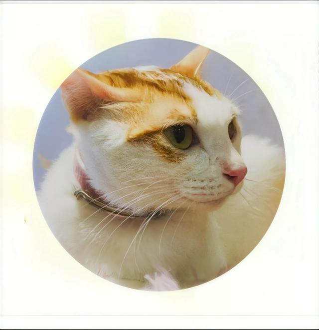 汪小菲还算不算是富二代，到底有多少钱？插图3