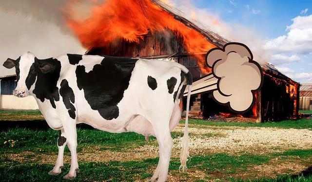 老婆总是嫌弃我爱放屁该怎么办