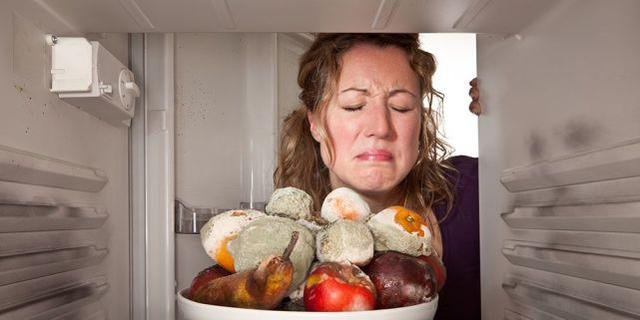 出远门时，为什么要给冰箱里放一枚硬币？插图69