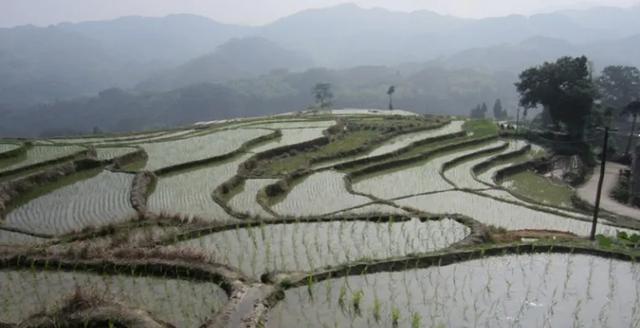 朱元璋称帝后，对自己的家乡凤阳是一种什么样的政策？插图50