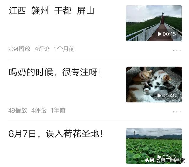 犬俊介君的微博:为什么我的头条视频推荐那么低？