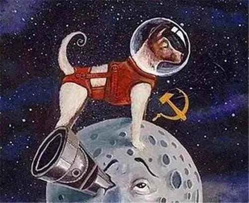 莱卡犬打猎视频:第一只进入太空的狗，在宇宙飘了63年，人类为什么要毒死它？