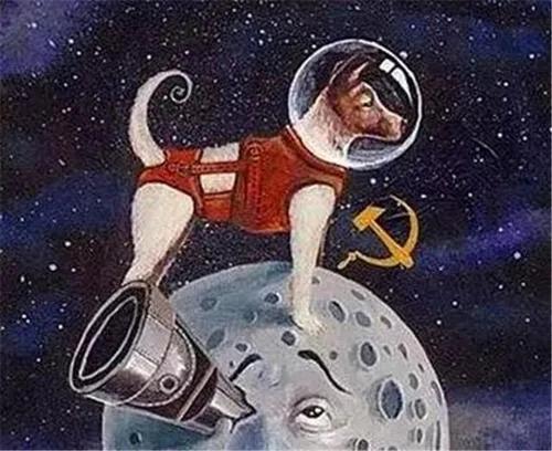 人与狗的历史在线观看:第一只进入太空的狗，在宇宙飘了63年，人类为什么要毒死它？