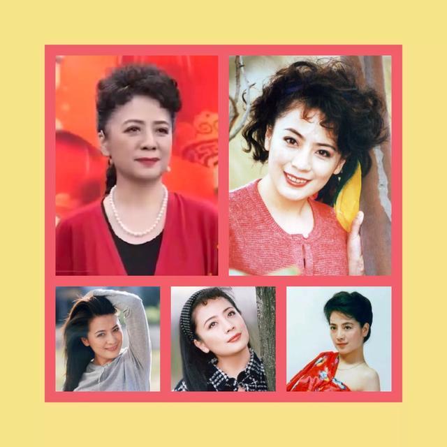 岳母的幸福生活剧情介绍:出生于沈阳的影视女明星知多少