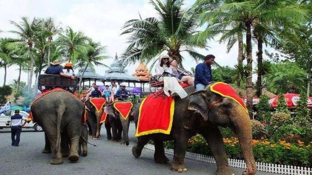 盲目要二胎的后果有多严重？插图15