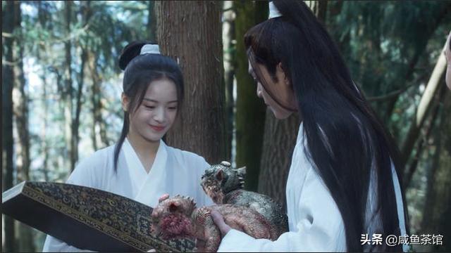 靓爆镜宠物馆:如何建立地方流浪狗收容所？