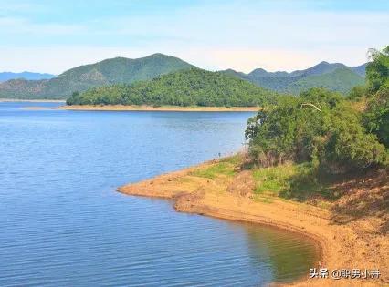 鱼的寿命有多久？有没有人见过鱼老死？插图113