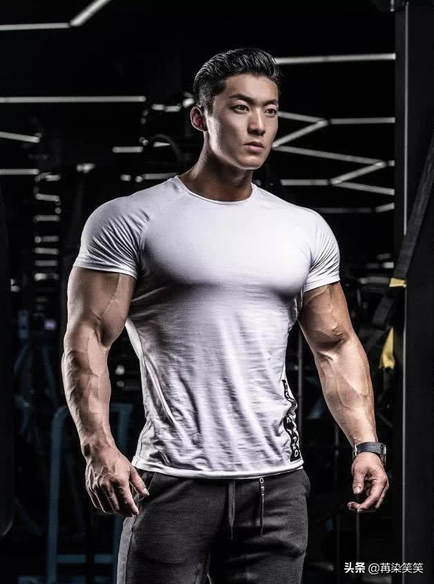 鹿晨辉和吴龙,谁厉害?-生活百科