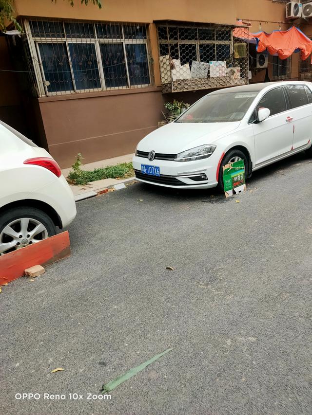 排泄物:小区里养狗，狗狗的排泄物，主人应不应该处理干净？