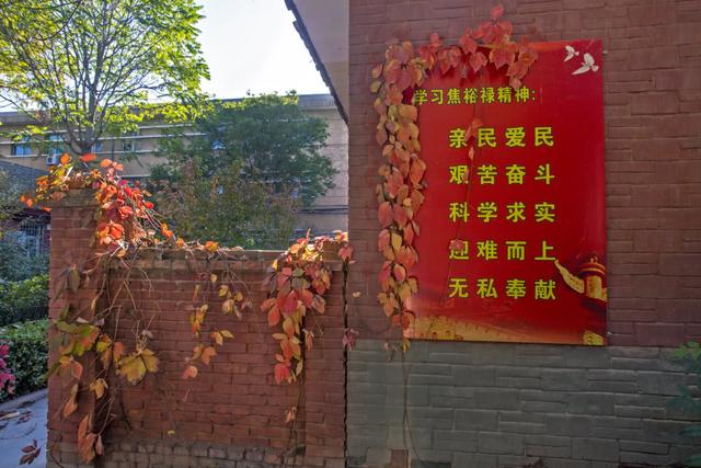 河南人骗子多:你有没有接触过河南人，有没有什么感受，为什么？(为什么招工不要河南人)