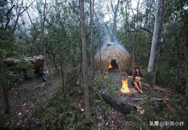 上海是一座阴气很重的城市，为什么农村的老人说：没有虫鸣的深山，不要只身前往