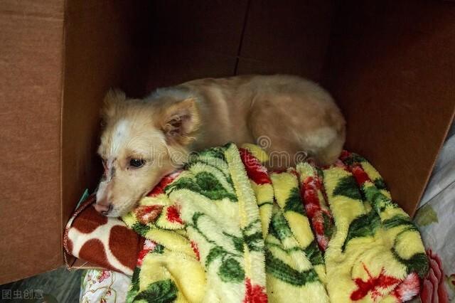 你有没有经历过说出来都没人相信的事情？插图7