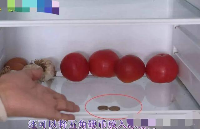 出远门时，为什么要给冰箱里放一枚硬币？插图17