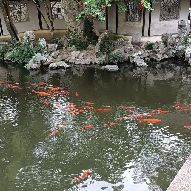 中国十大古镇,你去过的有哪几个？