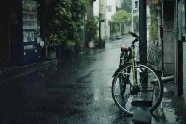 杀人回忆凶手揭秘:韩剧《请回答1988》中有什么不为人知的细节