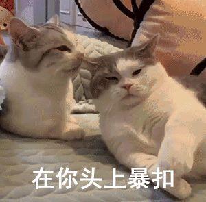 想寻求长期在家就能做的兼职,有没有好的推荐？